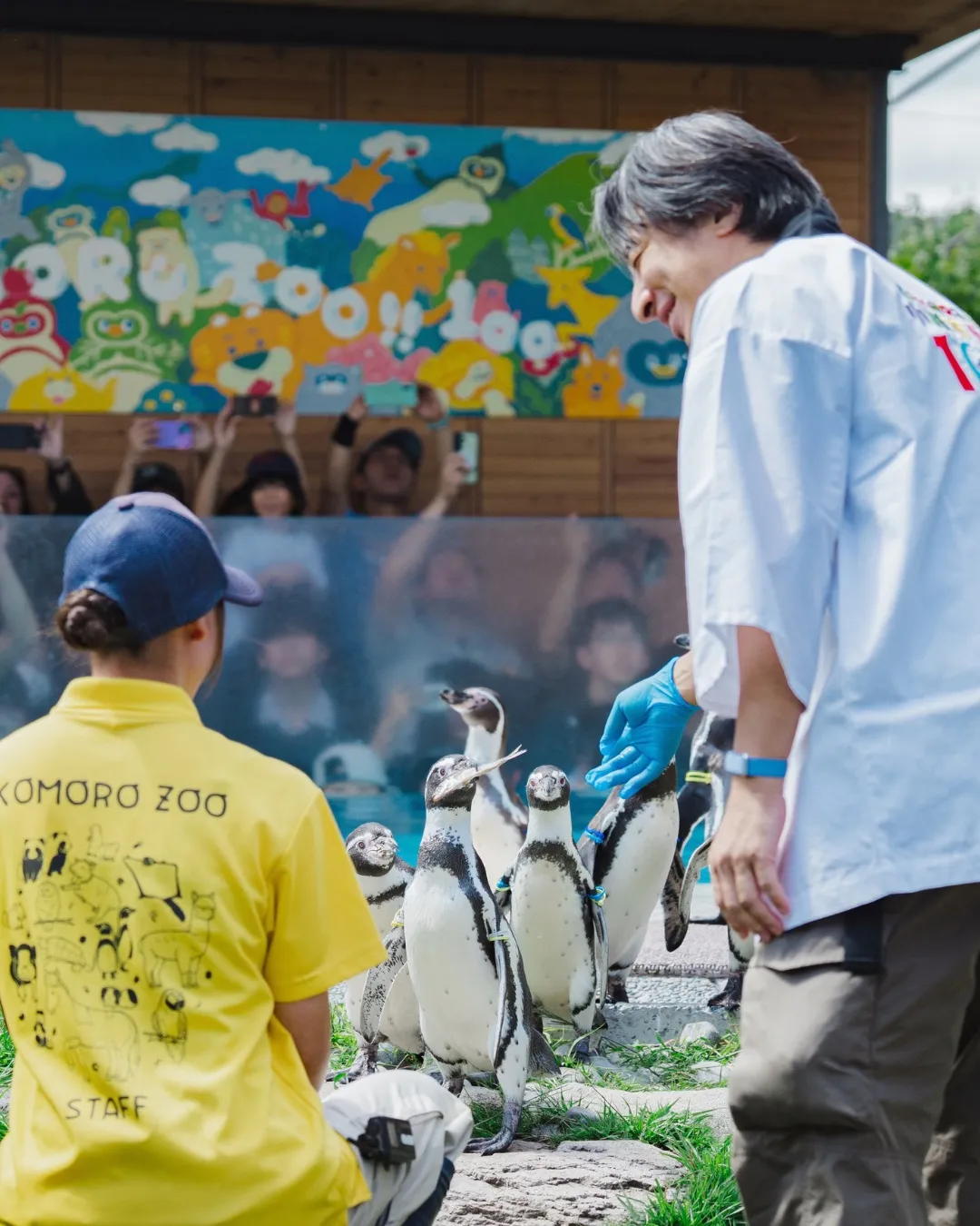 ペンギンの餌やり