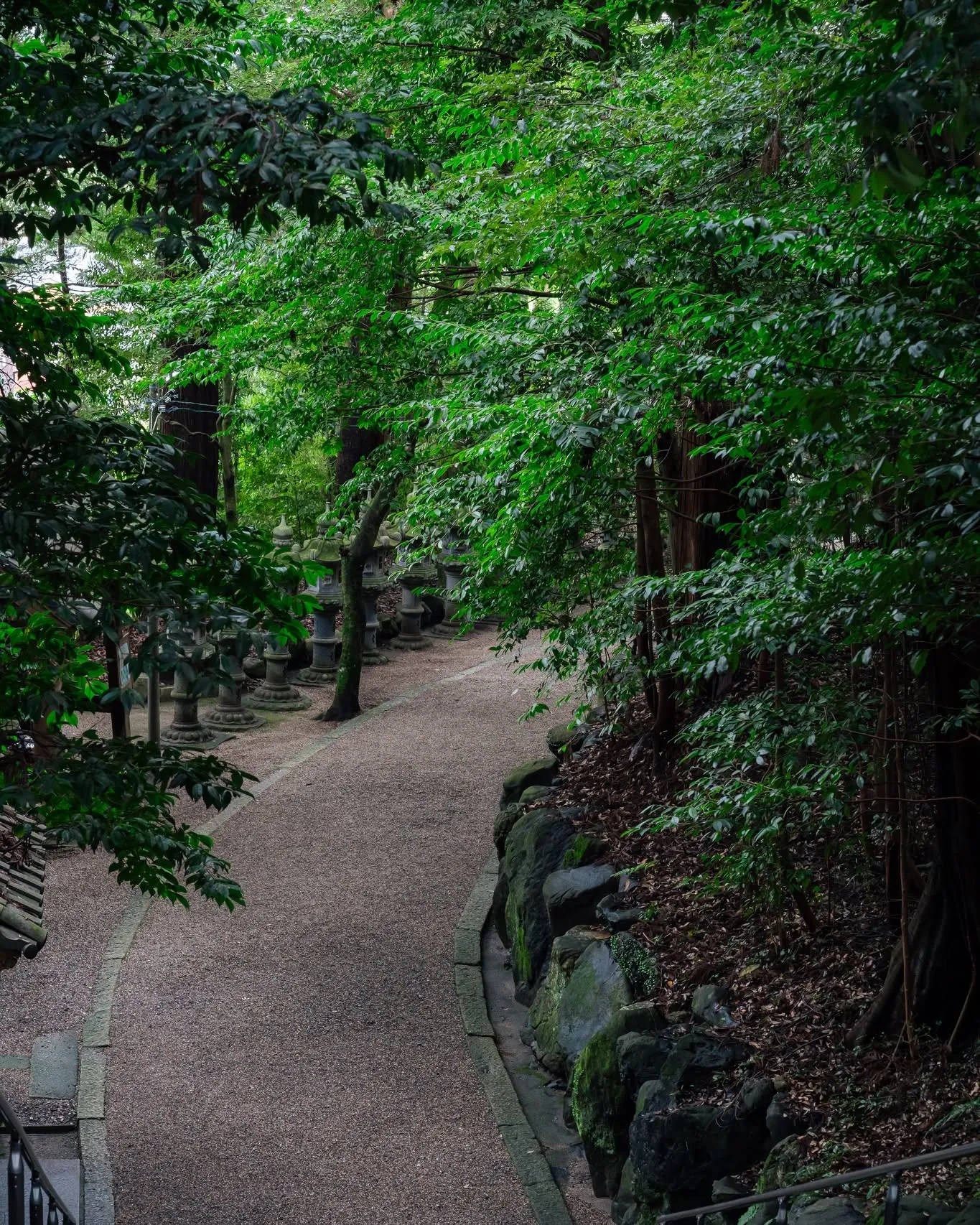 木々に囲まれた参道